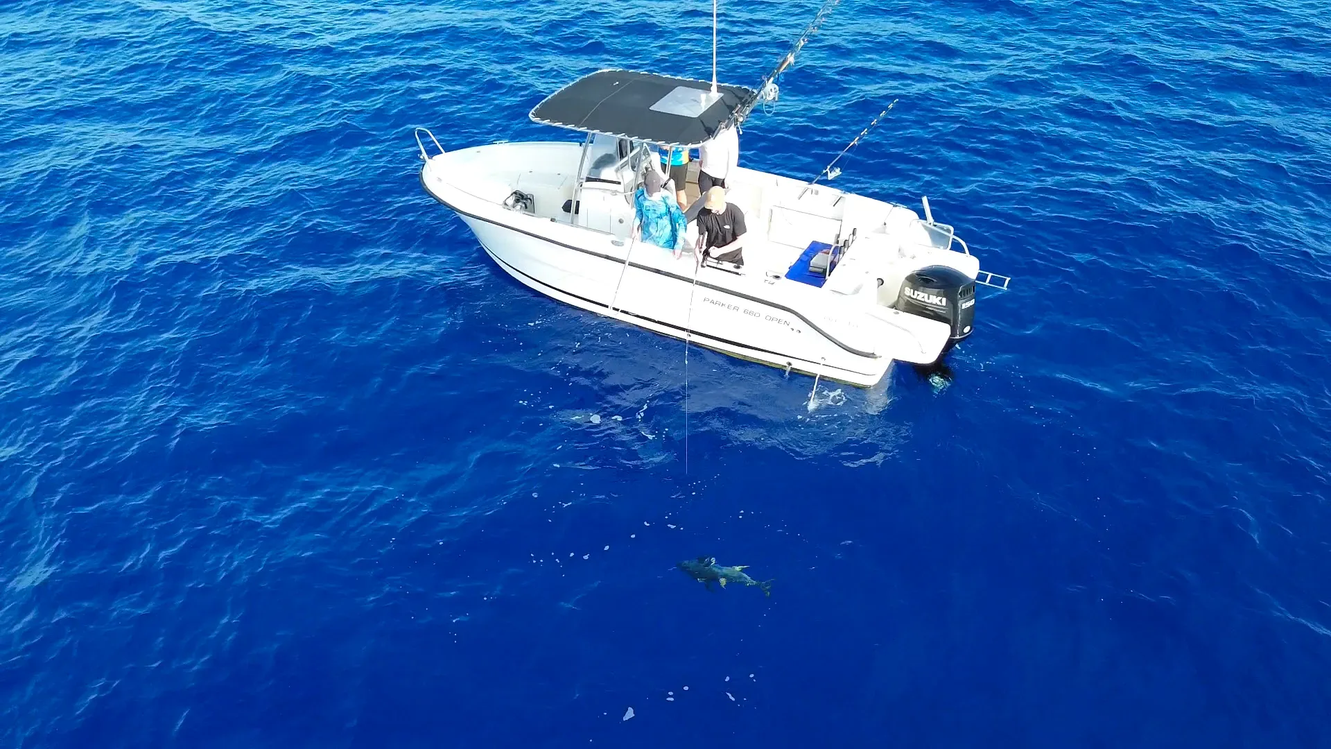 Pêche au gros à La Réunion - Marlin sautant hors de l'eau