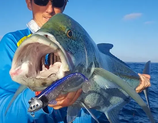 Technique de pêche aux leurres souples