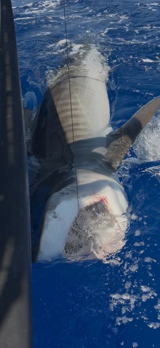 Publication Facebook