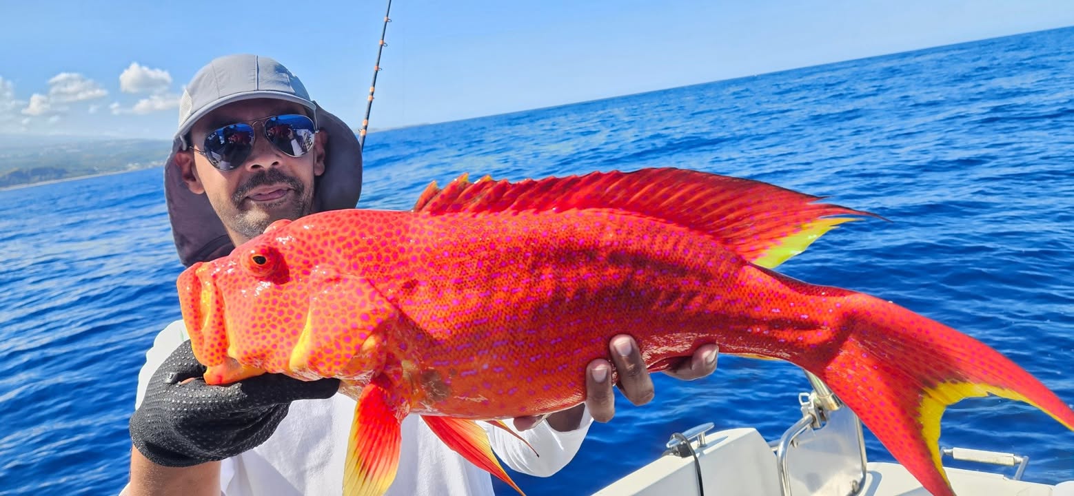 Publication Facebook