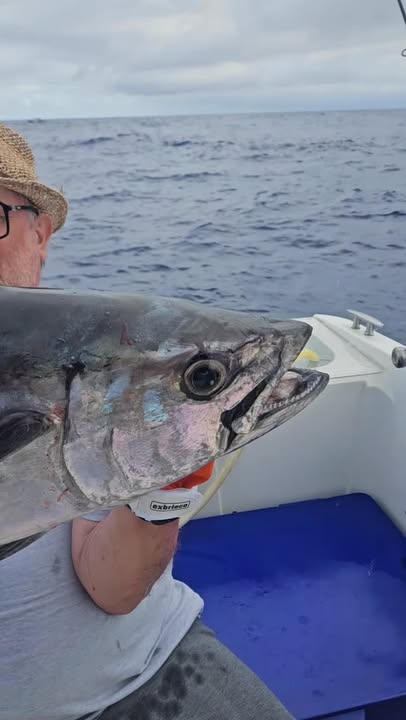 Publication Facebook