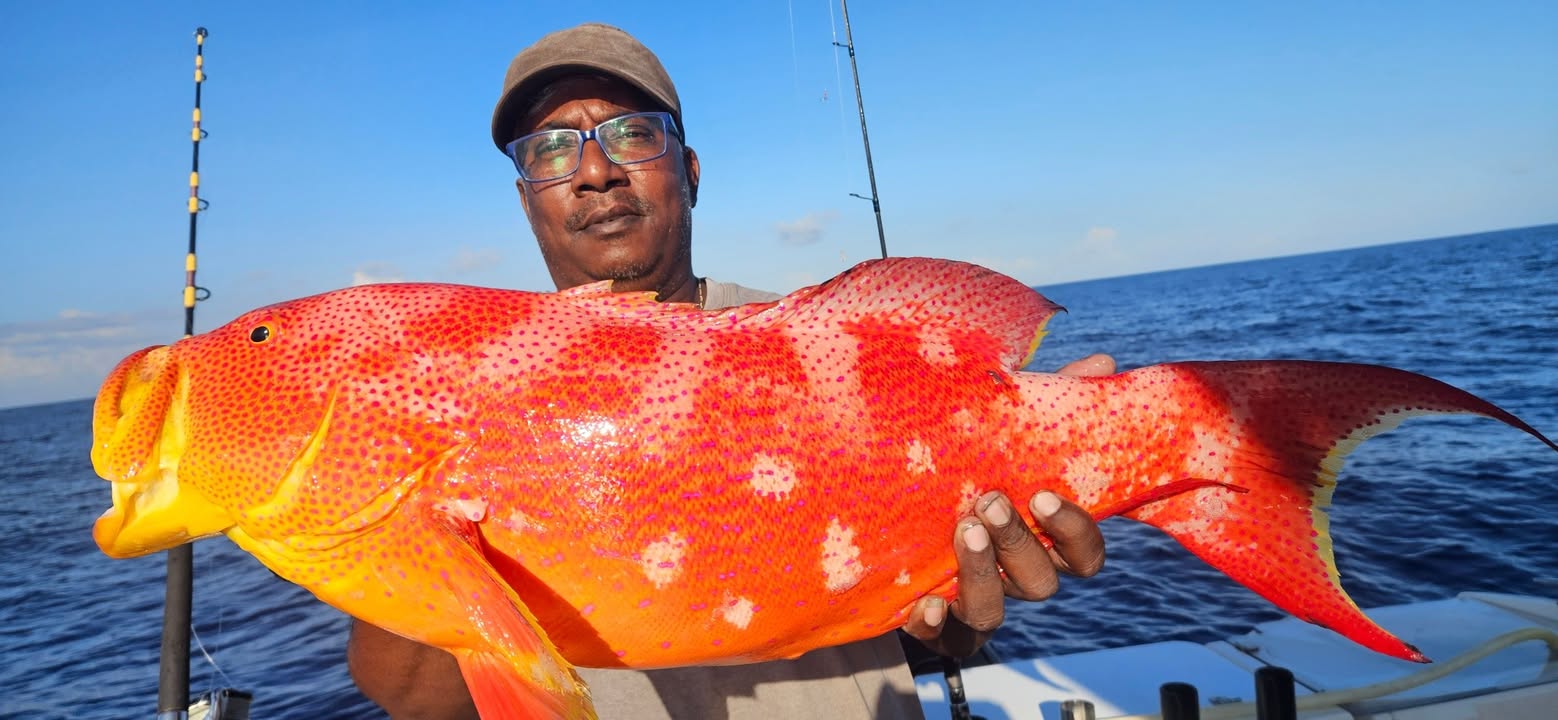 Publication Facebook