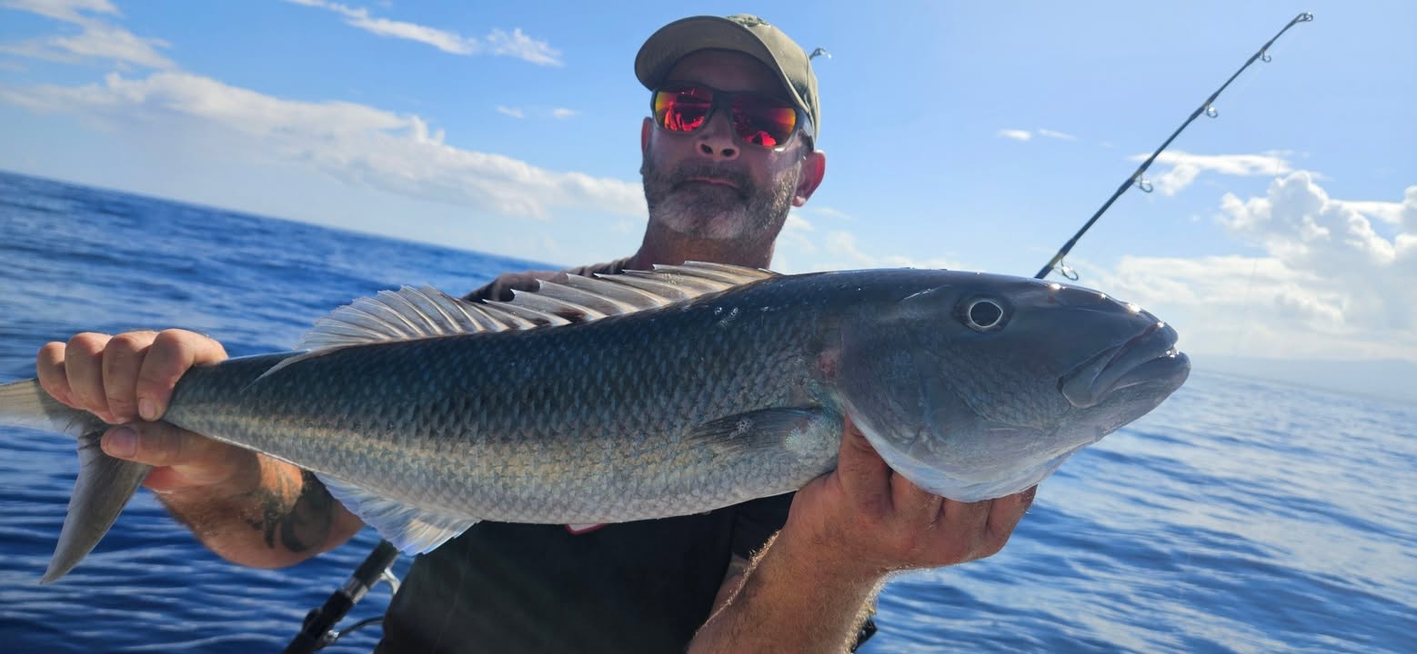 Publication Facebook