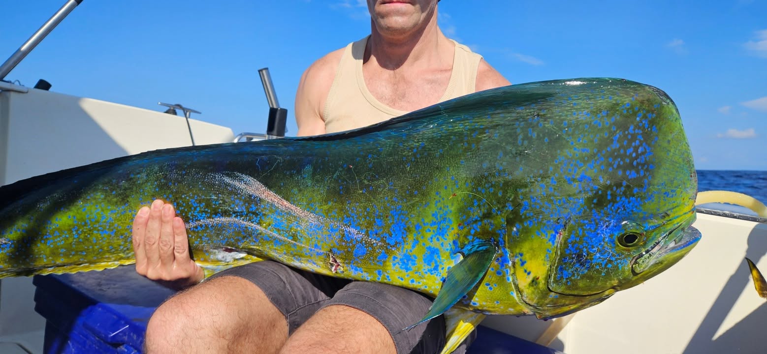 Publication Facebook