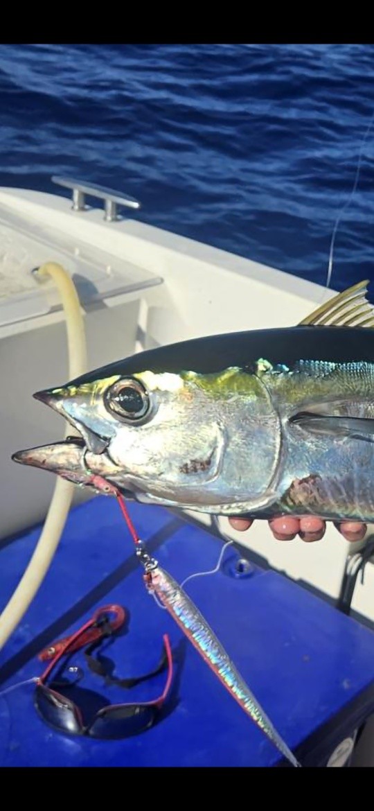 Publication Facebook