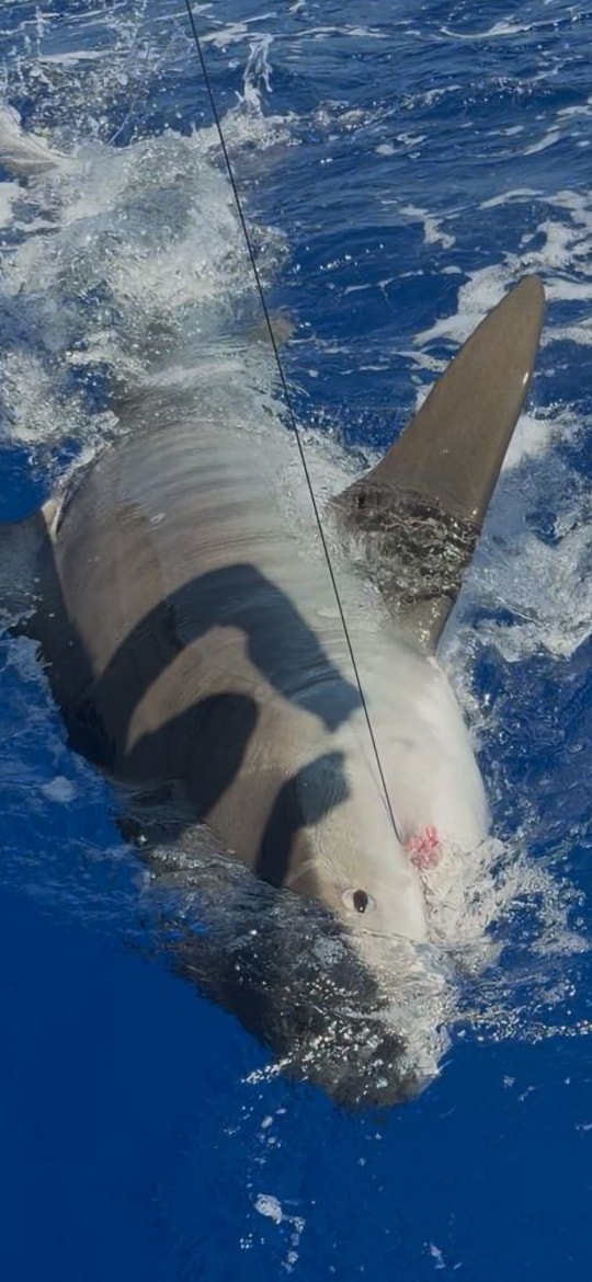 Publication Facebook