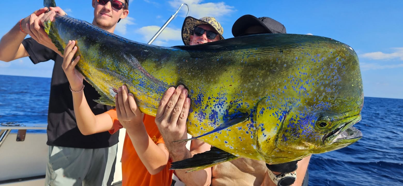 Publication Facebook