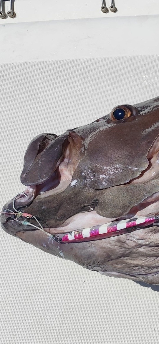 Publication Facebook