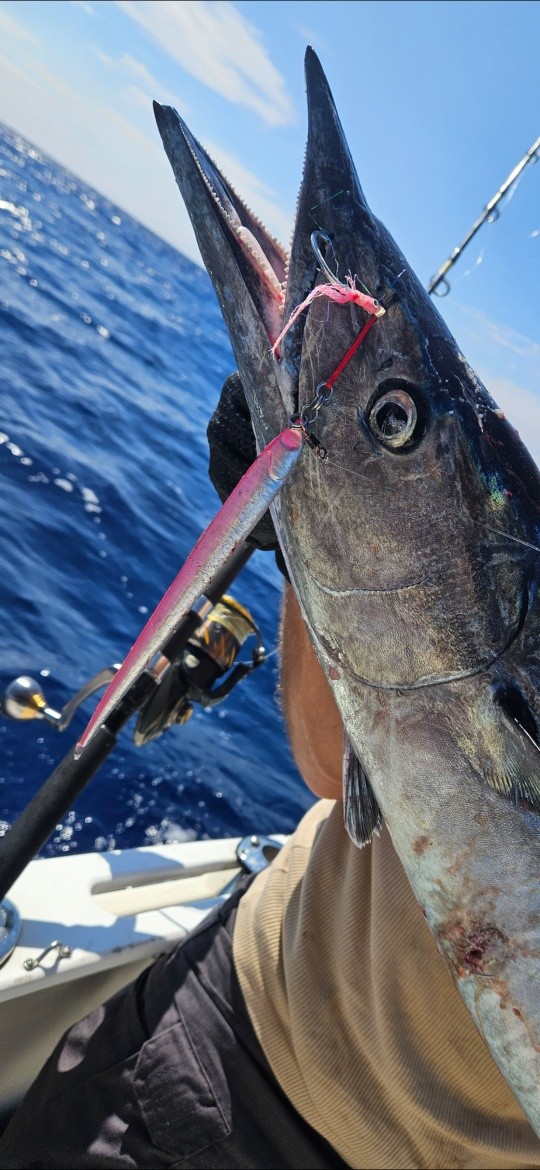 Publication Facebook